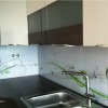 kuhinjsko_steklo_fototapeta_1+_0031_IMG_2594